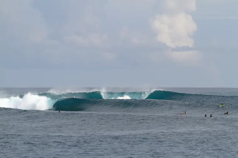Cobras, Sumatra Surf Trip charter