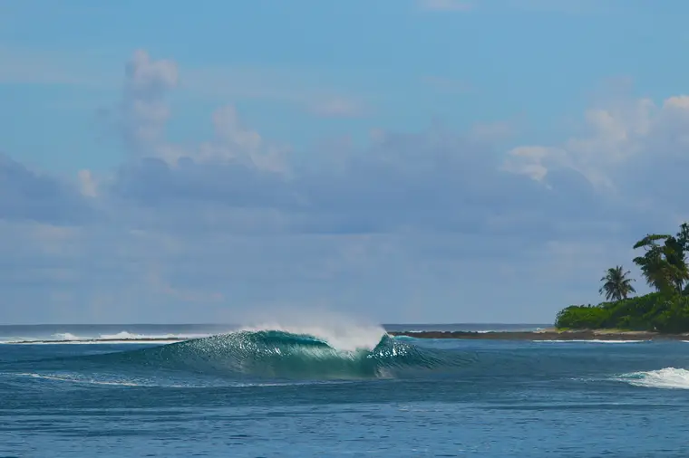 RedNut, Sumatra Surf Trip charter