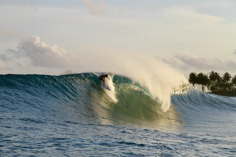 RedNut, Sumatra Surf Trip charter