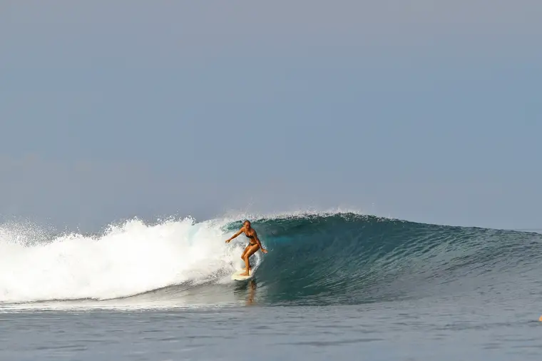 Telescopes, Sumatra Surf Trip charter