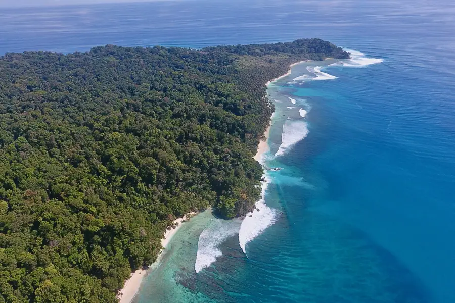The rainforest island at Jurassic