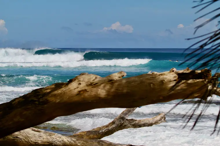 Bojo, Sumatra Surf Trip charter