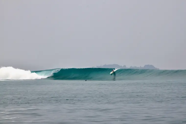 Dislocaters, Sumatra Surf Trip charter
