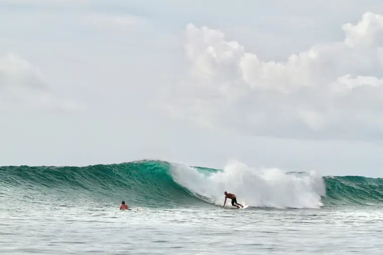 New School, Sumatra Surf Trip charter