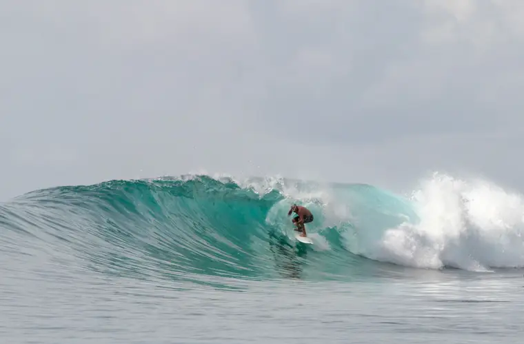 New School, Sumatra Surf Trip charter