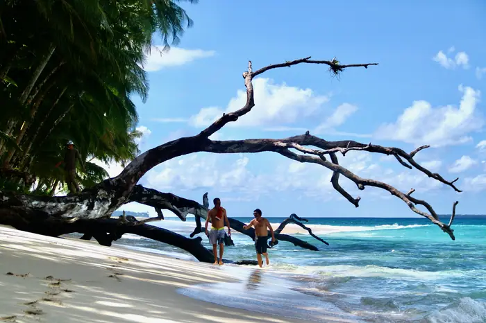 Guests walking a deserted white sand beach under driftwood